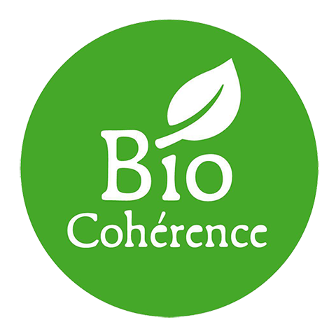 Logo 2