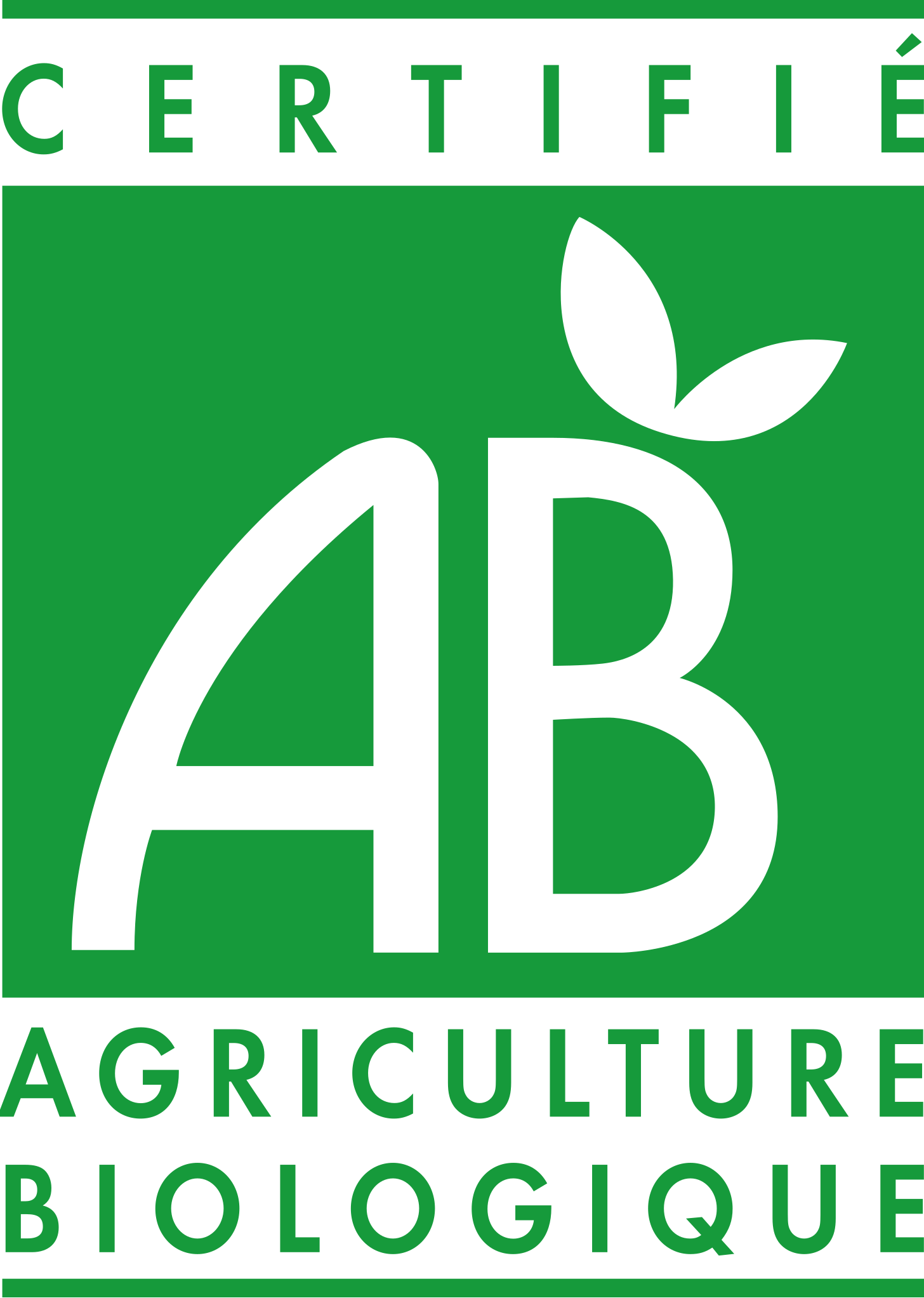 Logo 6